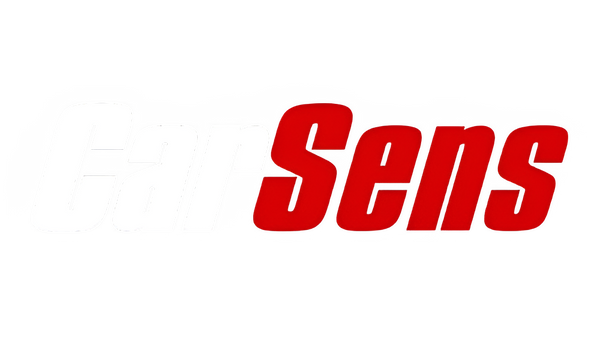 CarSens